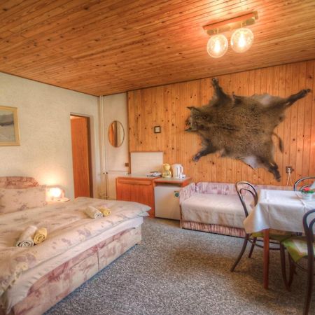 Penzion Ivana Harrachov Oda fotoğraf