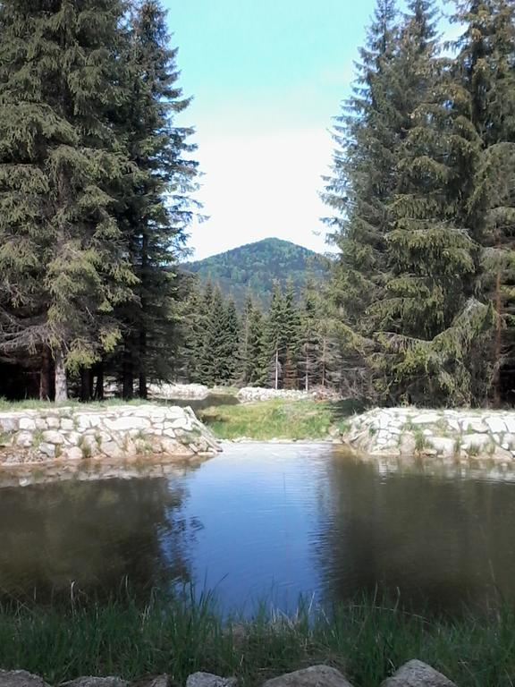 Penzion Ivana Harrachov Dış mekan fotoğraf